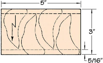 Chicken Body Layout