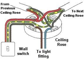 Ceiling rose electric lighting circuit