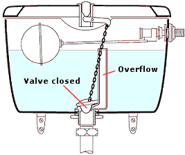 Flap flush valve with overflow